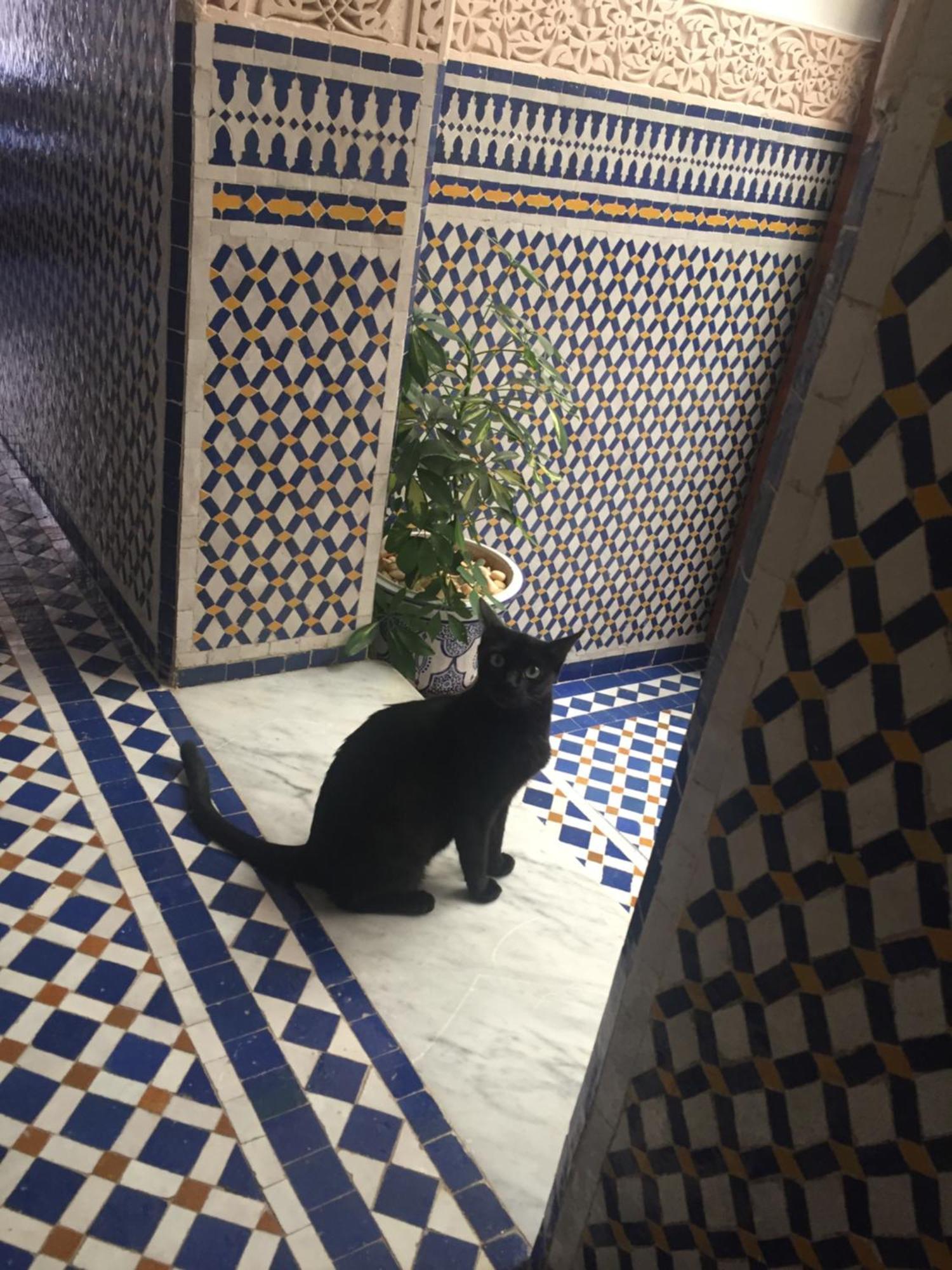 Dar D'or 4* Fez